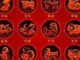 1955年属什么